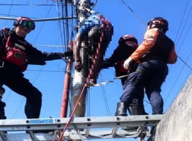 Hombre muere electrocutado tras recibir descarga en poste de luz ...