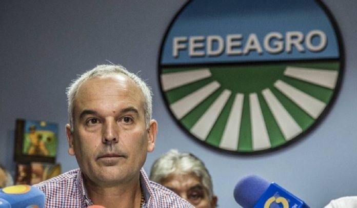 fedeagro