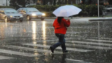 lluvias