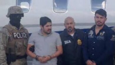 sobrinos de cilia flores