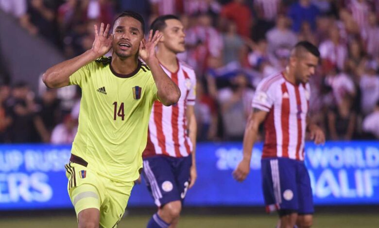 vinotinto