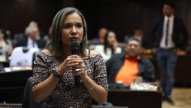 diputada vera