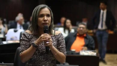 diputada vera