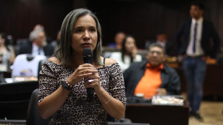 diputada vera
