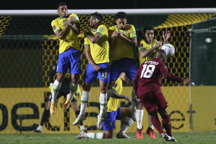 vinotinto