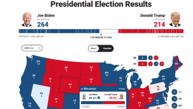 resultados preliminares