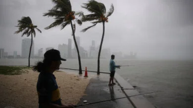 eta florida