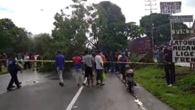 arbol mata a motorizados
