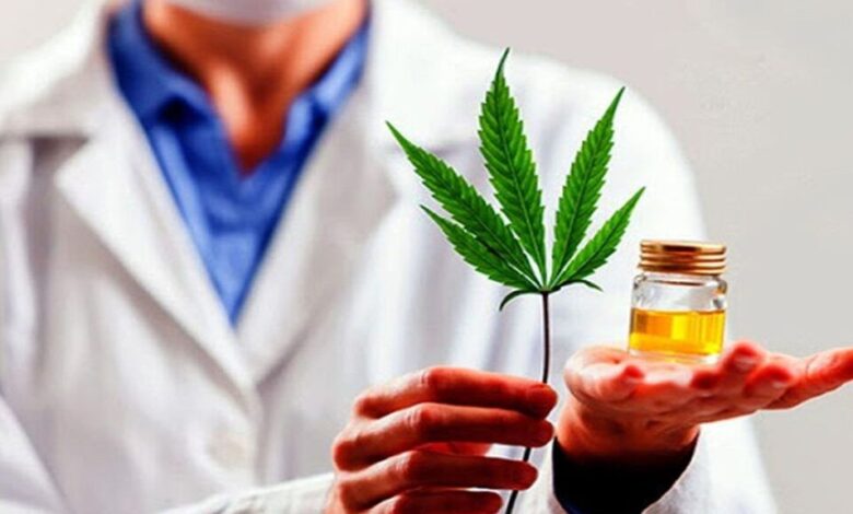 cannabis