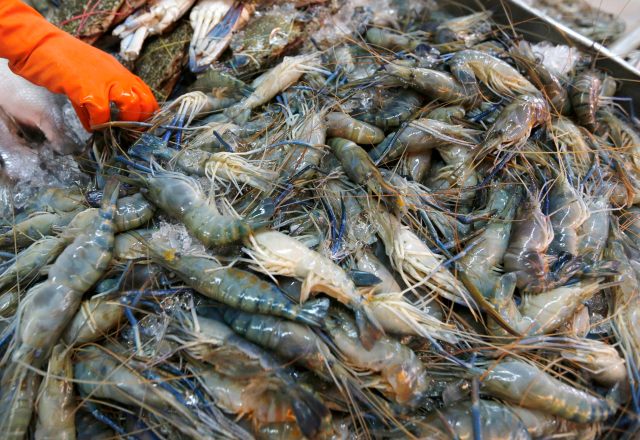 comida camarones