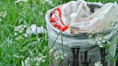 Un hombre de Florida (EE UU) descubrió un cadáver al interior de un cubo de basura que un amigo le pidió guardar hace más de dos meses y las autoridades han iniciado una investigación para conocer la identidad de los restos, informan este miércoles 9-D medios locales. La persona, cuya identidad no ha sido difundida, halló el cuerpo en avanzado estado de descomposición tras abrir el cubo de basura de 55 galones de capacidad que un amigo le pidió guardar en su garaje bajo la promesa de que volvería por él pronto, según dijo la Oficina del Alguacil del Condado Manatee, en el oeste de Florida. El hombre se decidió a abrir el cubo, en el que pensó que habrían artículos personales del propietario, en vista de que habían pasado más de dos meses desde que accedió a guardarlo, y grande fue su sorpresa cuando halló en su interior un cadáver envuelto y que emanaba un mal olor. Las autoridades mantienen una investigación en curso para dar con la causa del deceso y la identidad de los restos, a los que este miércoles se le practicarán un autopsia. "El tipo que mantenía este bote de basura dijo que pensó que era un contenedor de artículos personales. El dueño del bote le dijo: 'Volveré a buscarlo más tarde'", indicó el portavoz de la oficina del alguacil local, Randy Warren. Las autoridades no han dado a conocer si es que hay algún sospechoso, ni tampoco la identidad del dueño del cubo de basura.