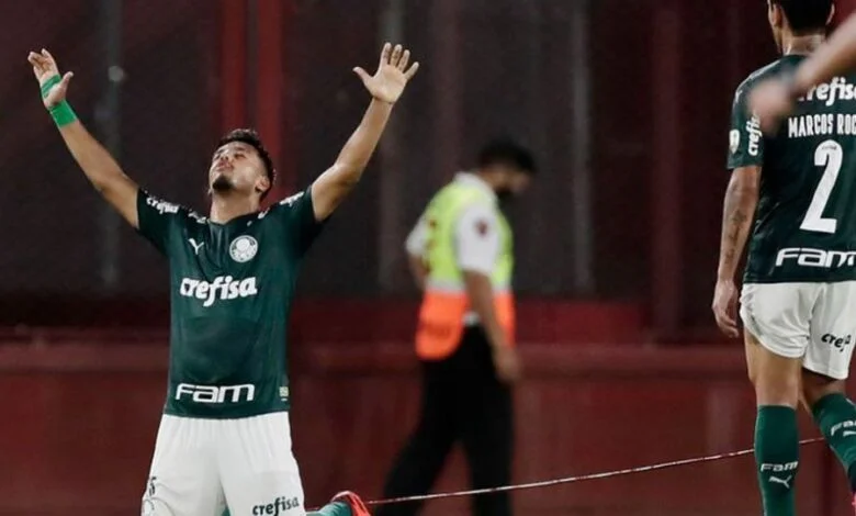palmeiras