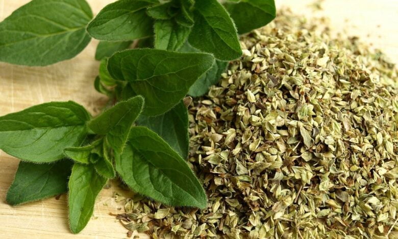 Beneficios del orégano para la salud