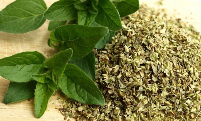 Beneficios del orégano para la salud