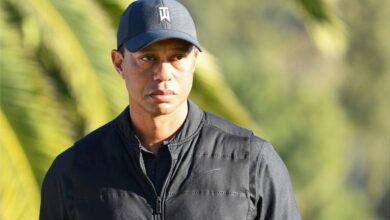 tiger