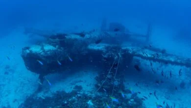 Buceador explora restos de un bombardero de EEUU hundido en la Segunda Guerra Mundial