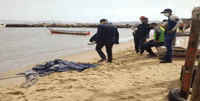 reportero asesinado