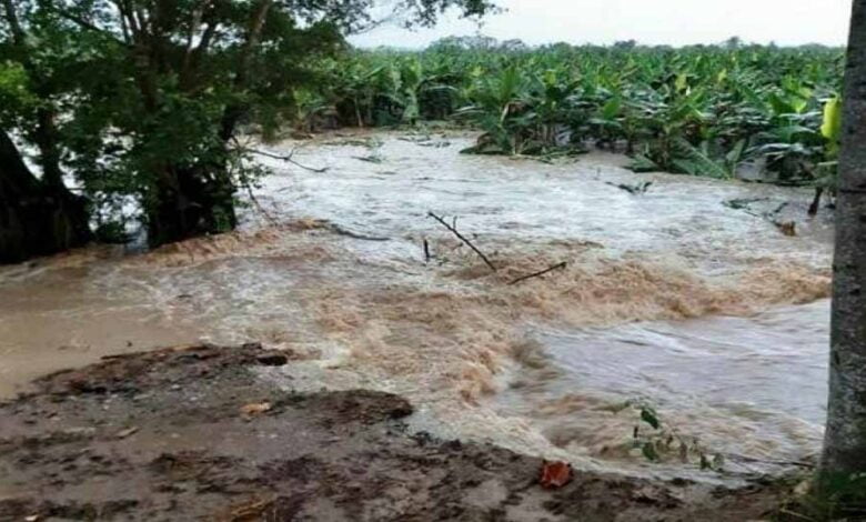 rio mucujepe