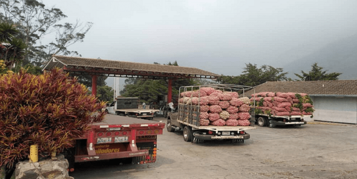 productores