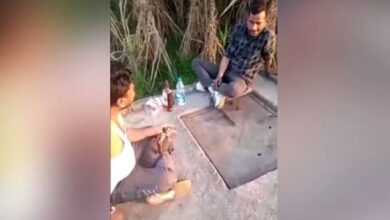 india video asesinato