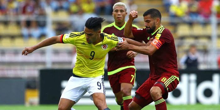 vinotinto