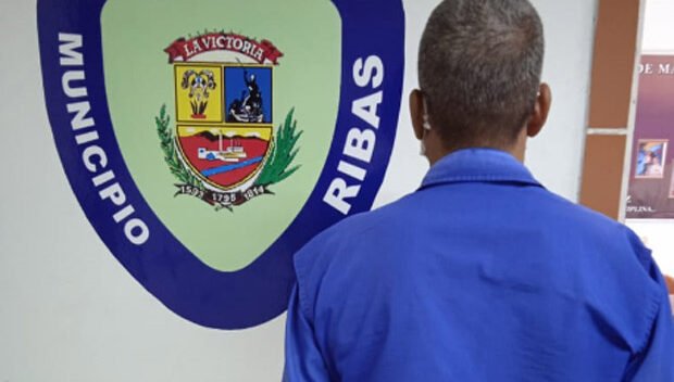 El conductor de un autobús identificado como Guillermo Chacón Gabino de 54 años de edad fue detenido por una comisión de la Policía Municipal de José Félix Ribas, estado Aragua, toda vez que atropellara a un perro en plena vía pública. De acuerdo al parte policial, el ciudadano se desplazaba en la unidad, tipo encava, color blanco y multicolor, placa 09AC6DL, perteneciente a la línea Unión Venezuela por la calle Ribas Dávila de la ciudad de la Victoria, cuando arrolló a un perro que iba cruzando la vía. Al parecer, en el lugar se encontraban unos oficiales que intentaron llamar su atención a través de señas y gritos para que se percatara de la presencia del animal, sin embargo, esta acción resulto ser infructuosa pues el chofer nunca detuvo su andar. Chacón arrolló al can y al detenerse, explicó que nunca se percató de los llamados que le hacían, ni de la presencia del perro, razón por la cual quedó retenido por la comisión policial por el presunto delito de maltrato animal. Según la información suministrada por las autoridades, el caso fue puesto a la orden de la Fiscalía 27 del Ministerio Público y será presentado en la ciudad de Maracay este jueves.