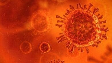coronavirus