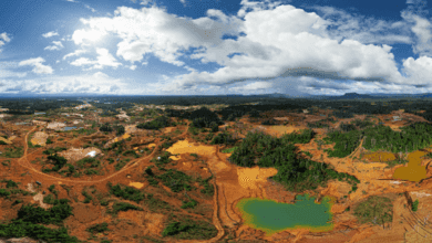 Oposición denuncia que niños son forzados a trabajar en la minería