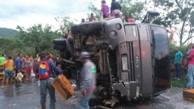 Saquean camiones cargados de pollos que se volcaron en Cojedes