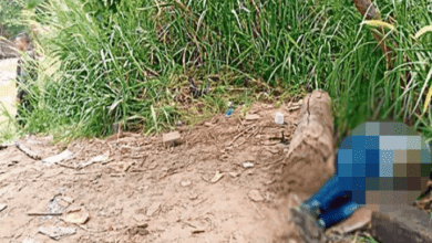 asesinados en la frontera