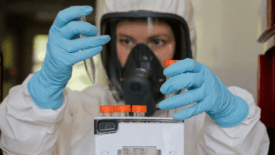 lab