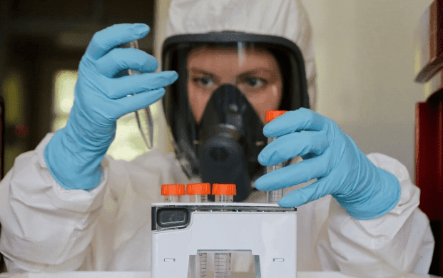 lab