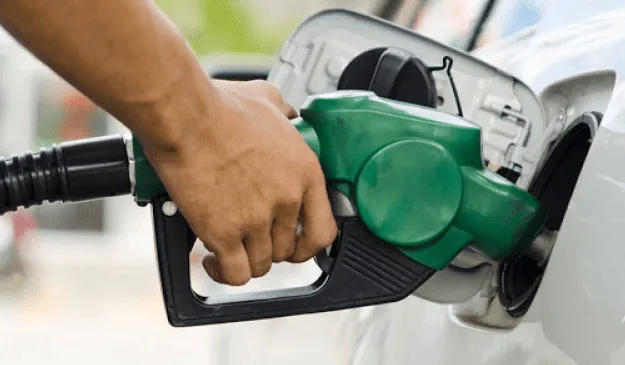 gasolina