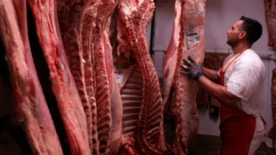 carne