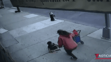 niño cae de edificio