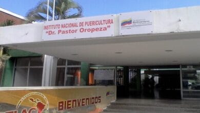 Jefa de Instituto Nacional de Puericultura falleció por covid