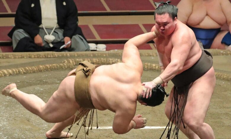sumo muere