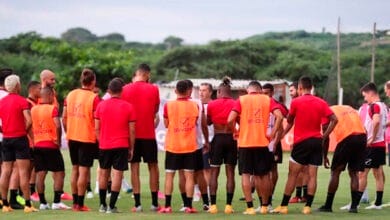 modulo vinotinto