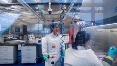 lab