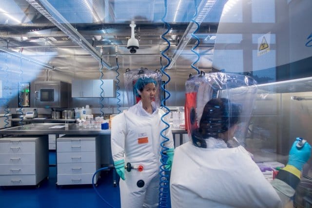 lab