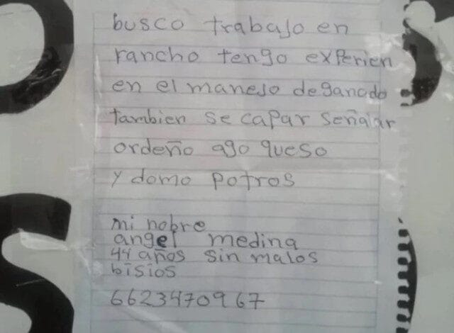 curriculo a mano
