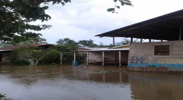ayuda humanitaria