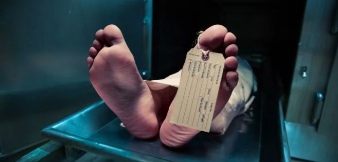 cadaver