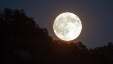 luna llena