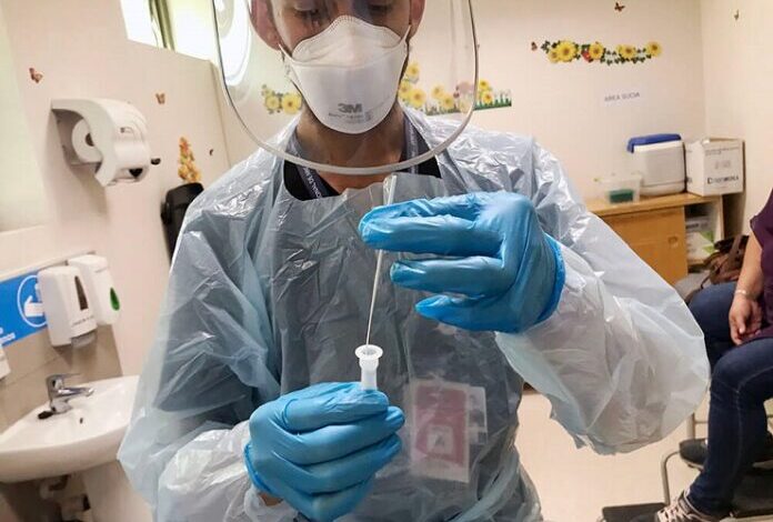 lab