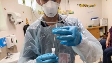 lab