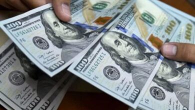 dolares