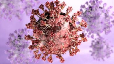 virus