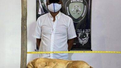 asesino de perros