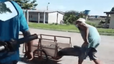 entierran en bolsas negras